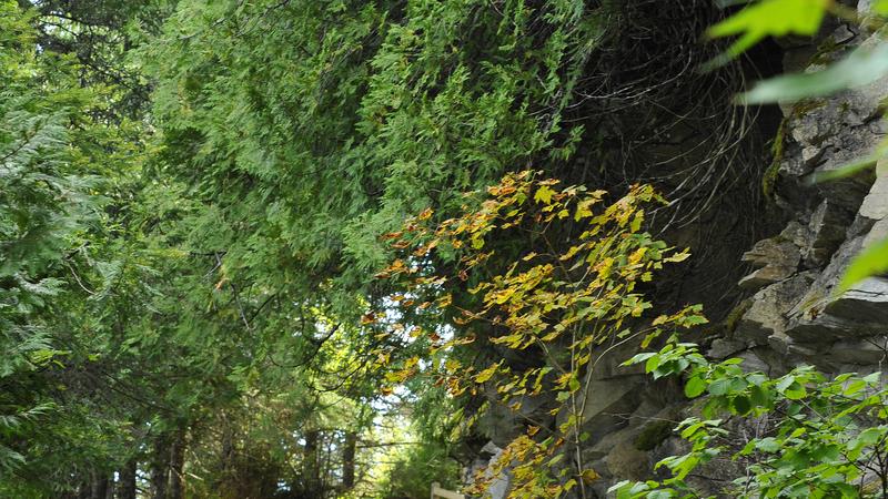 Parue dans : Parc national Forillon