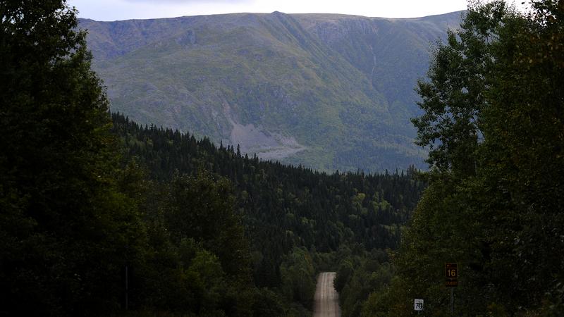 Parue dans : Mont Jacques-Cartier