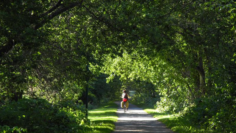 Parue dans : Parc linéaire Petit Témis