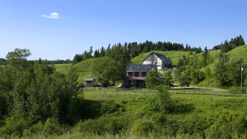 Parue dans : Lac Saint-Jean