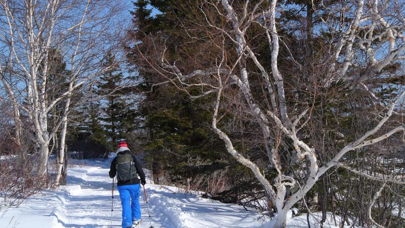 Parue dans : Randonnée au Parc national du Bic