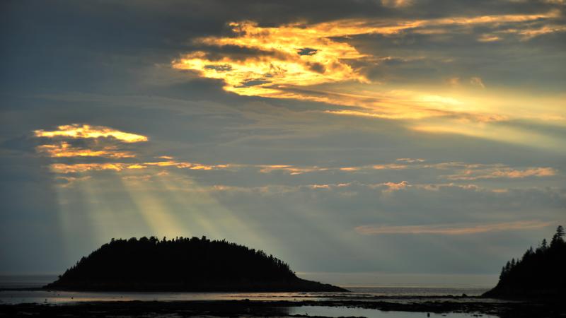 Parue dans : Parc national du Bic