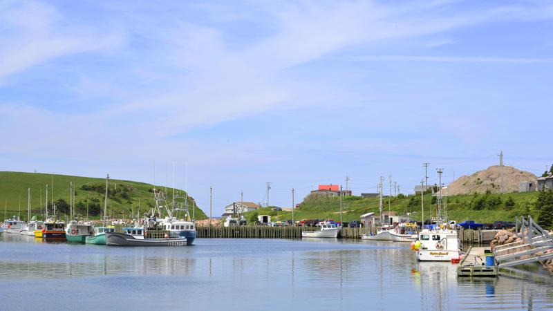 Parue dans : Iles du Cap Breton (Cabot Trail)