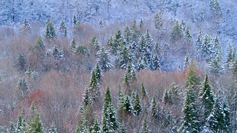 Parue dans : Parc naturel régional de Portneuf