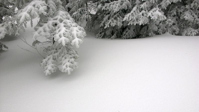 Parue dans : Sentier des Caps