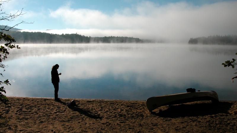 Parue dans : Parc national de la Mauricie