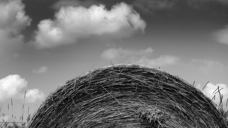 Parue dans : Paysage en noir et blanc