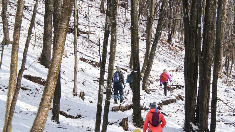 Parue dans : Parc naturel régional de Portneuf