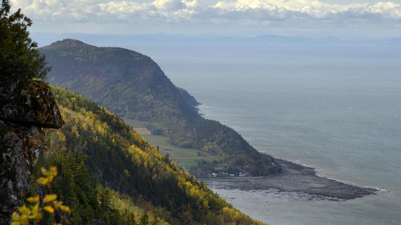 Parue dans : Parc national du Bic