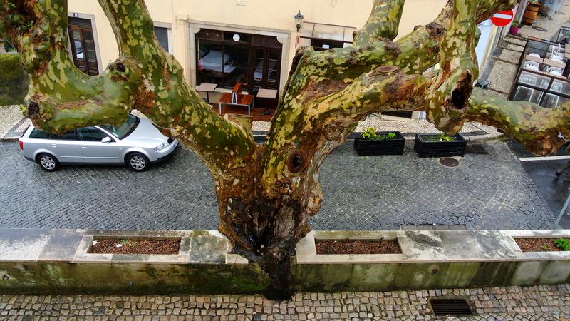 Parue dans : Sintra, la vieille ville