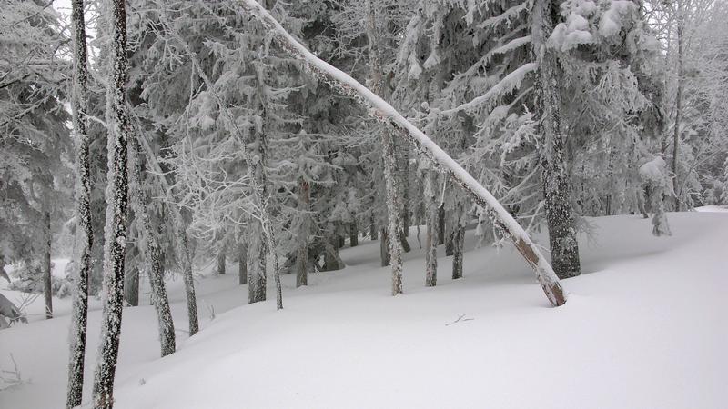 Parue dans : Sentier des Caps
