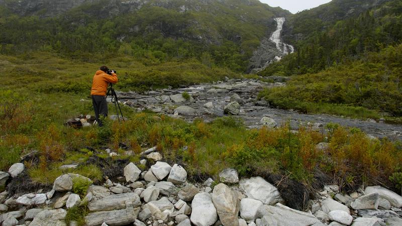 Parue dans : Terre Neuve deuxième voyage