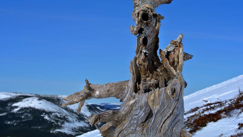 Parue dans : Mont Vallières-de-Saint-Réal