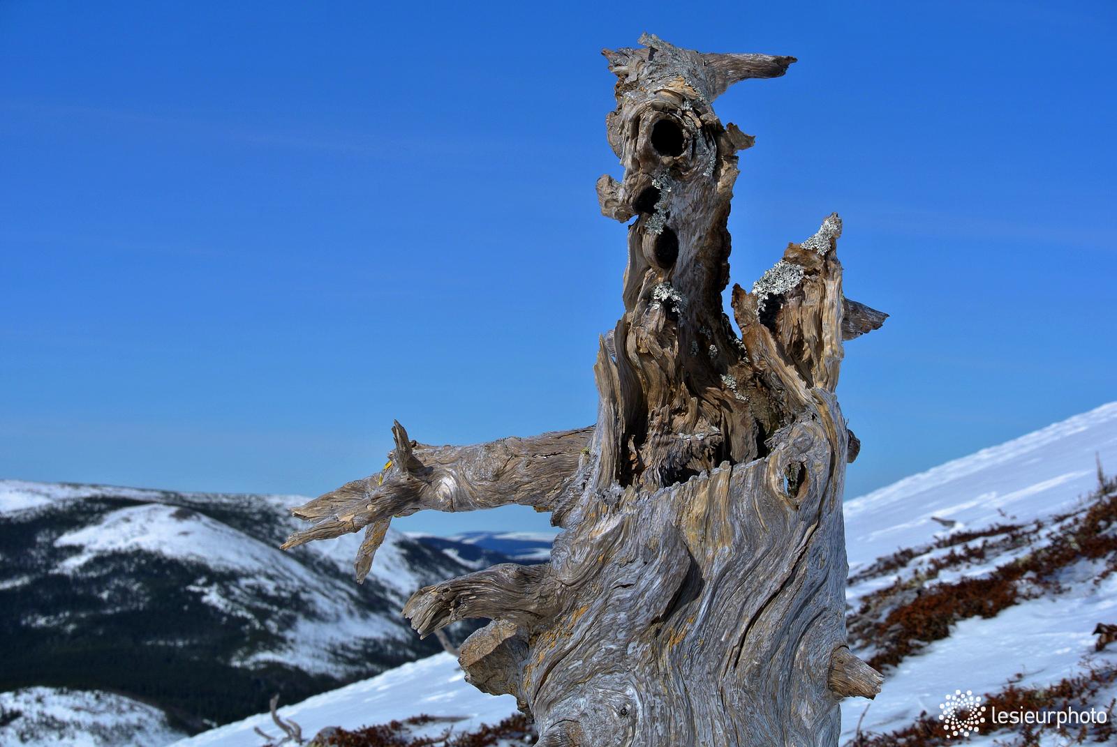 Mont VallièresdeSaintRéal Plein air LeSieur Photo Mont VallièresdeSaintRéal Plein air LeSieur Photo