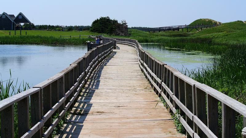 Parue dans : L'Île-du-Prince-Édouard
