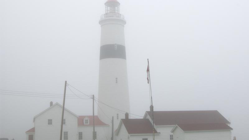 Parue dans : La côte du Labrador