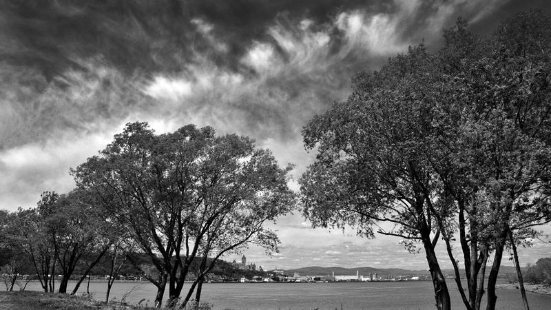 Parue dans : Québec en noir et blanc