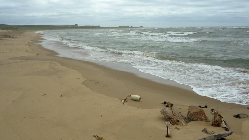 Parue dans : Îles-de-la-Madeleine