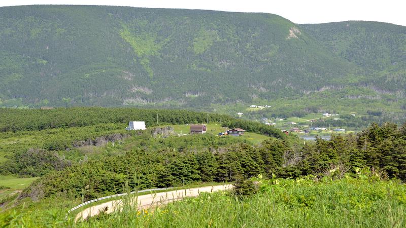 Parue dans : Iles du Cap Breton (Cabot Trail)