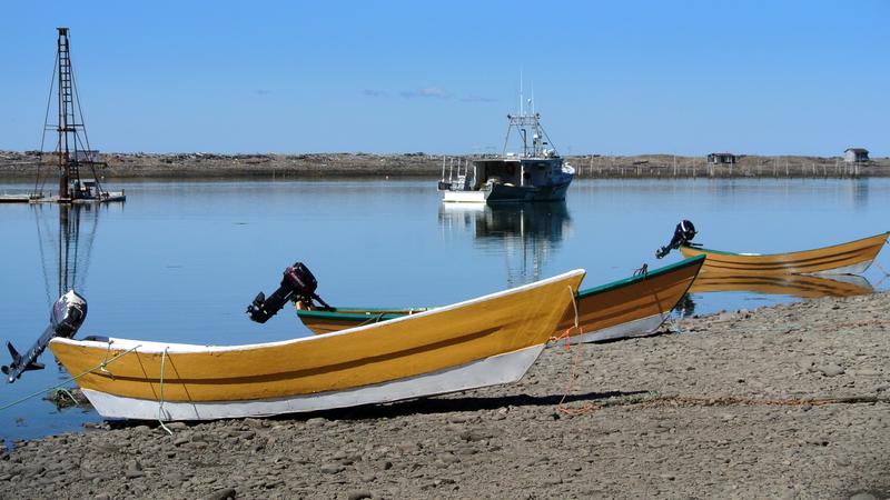 Parue dans : L'île Grand Manan