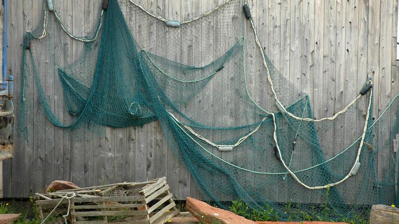 Parue dans : Gaspésie