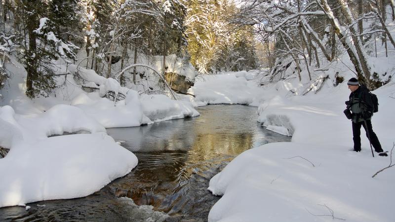 Parue dans : Parc national de la Jacques-Cartier