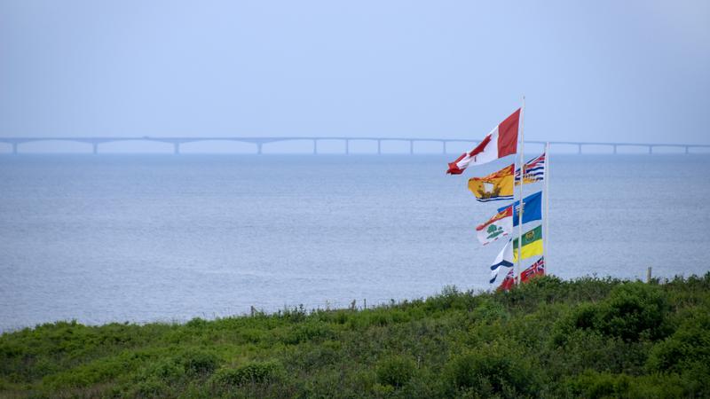 Parue dans : Baie Verte à Saint-John 2007