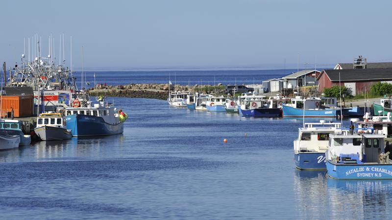 Parue dans : Île du Cap Breton
