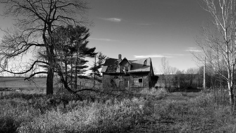 Parue dans : Abandonnés