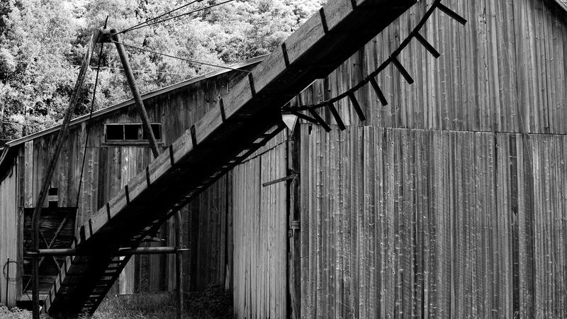 Parue dans : Abandonnés