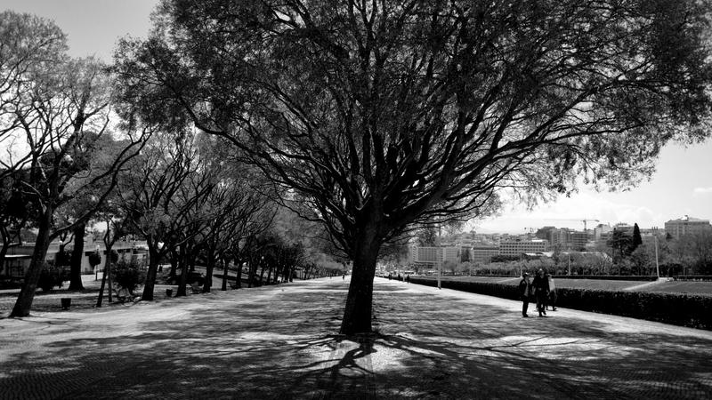 Parue dans : Lisbonne en noir et blanc