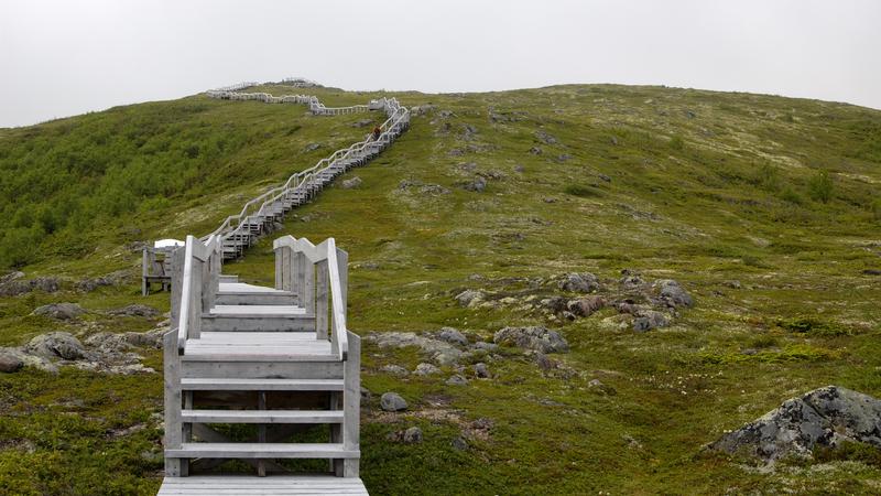 Parue dans : La côte du Labrador