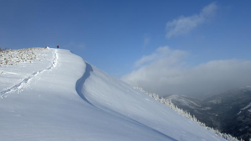 Parue dans : Mont Hog's Back