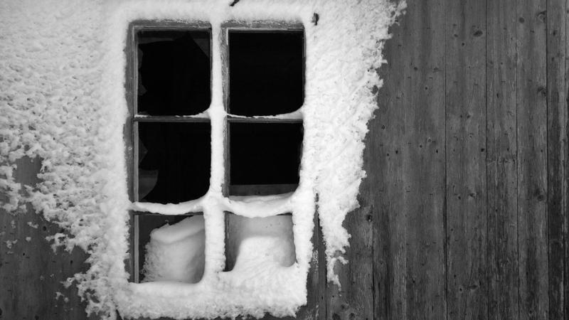 Parue dans : Abandonnés