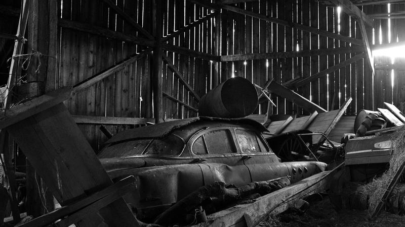 Parue dans : Abandonnés
