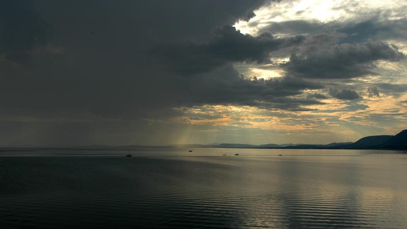 Parue dans : Gaspésie