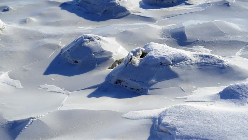 Parue dans : Nature hivernale