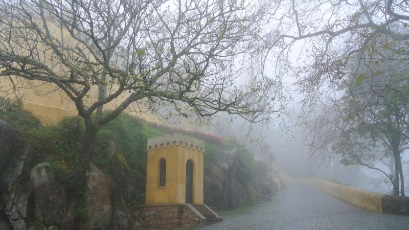 Parue dans : Pena, parc et palais