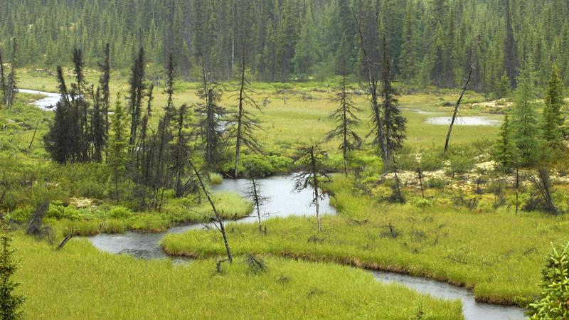 Parue dans : La route Trans-Labrador