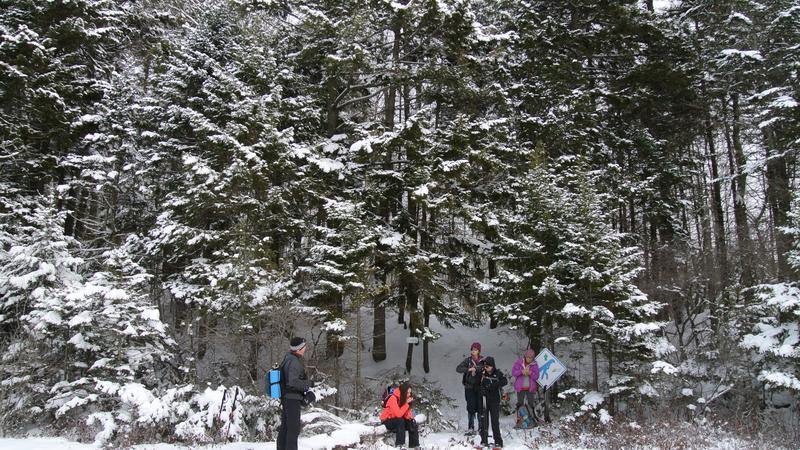 Parue dans : Parc naturel régional de Portneuf