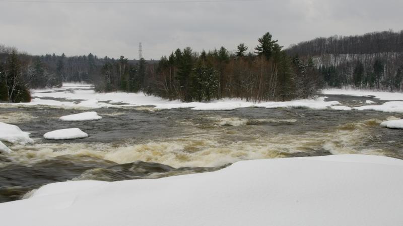 Parue dans : Parc de la rivière Batiscan