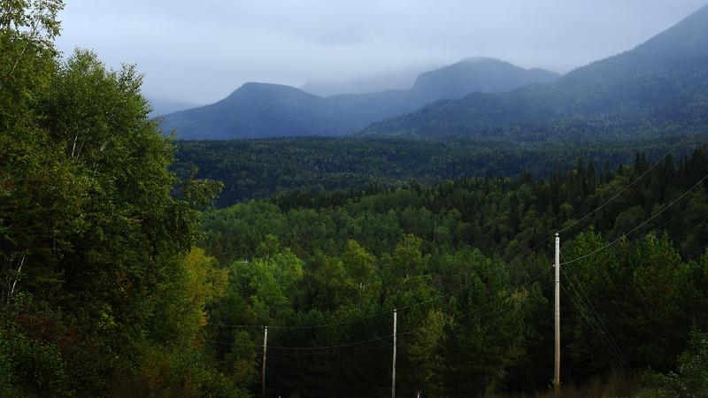 Parue dans : Parc national de la Gaspésie