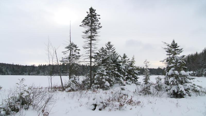 Parue dans : Parc naturel régional de Portneuf