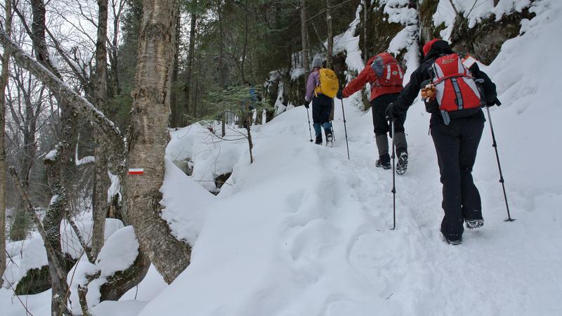 Parue dans : Mauricie