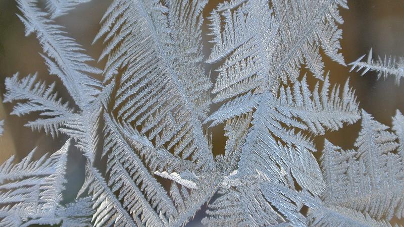 Parue dans : Nature hivernale