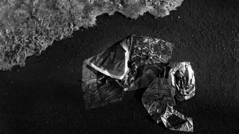 Parue dans : Abandonnés