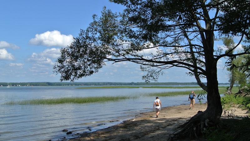 Parue dans : Parc Écomaritime de l'Anse-du-Port