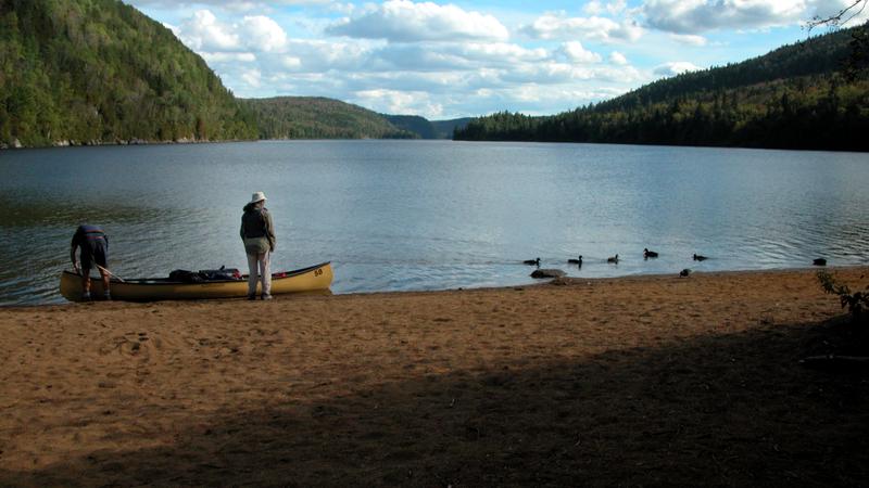 Parue dans : Parc national de la Mauricie
