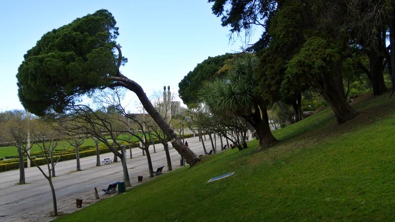 Parue dans : Lisbonne : jardins, parcs et églises