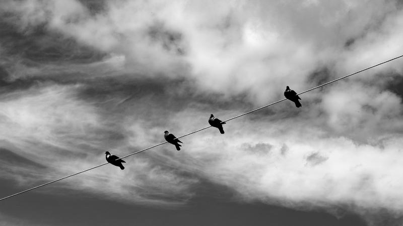 Parue dans : Spécial noir et blanc